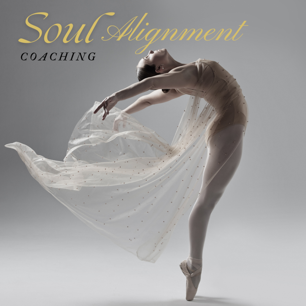 Soul alignment coaching tweelingzielen